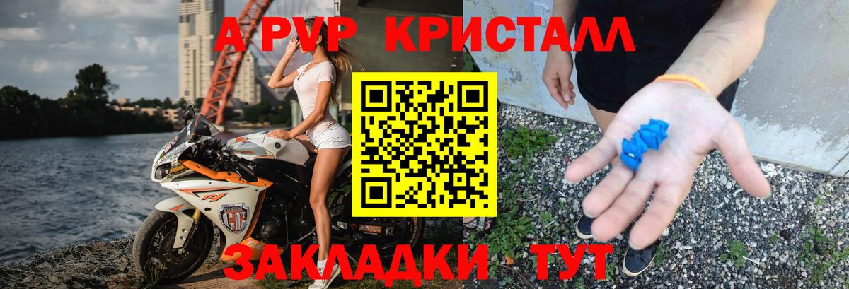 А ПВП Соль  А ПВП СК КРИС  Черкесск  Вход с VPN  Alfa_PVP крисы CK 