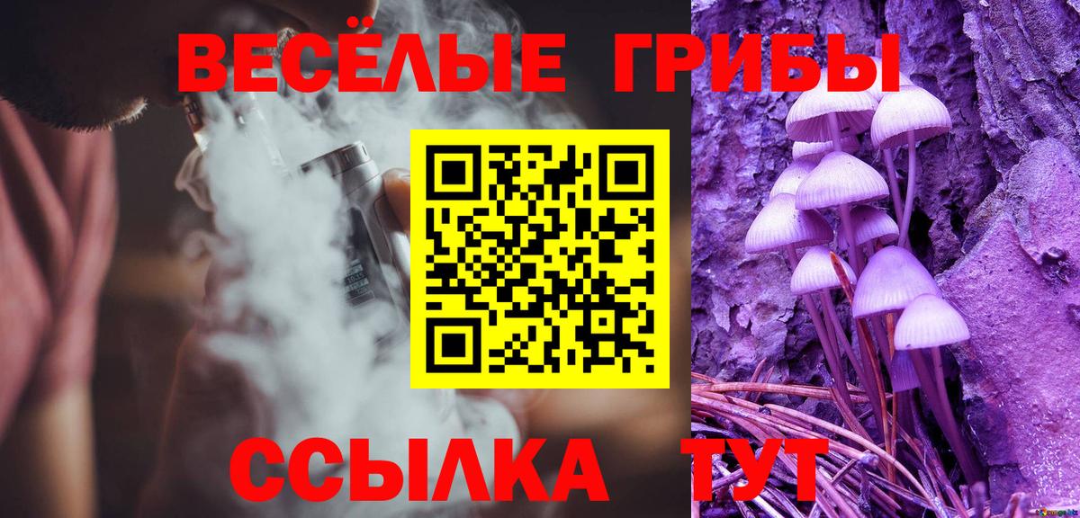 Псилоцибиновые грибы Cubensis Черкесск
