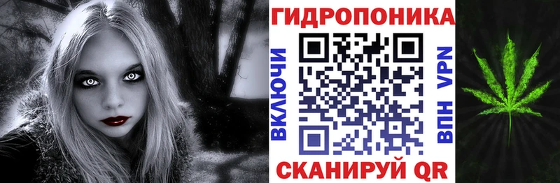 дарнет шоп  мориарти официальный сайт  MEGA вход  МАРИХУАНА планчик  Черкесск 